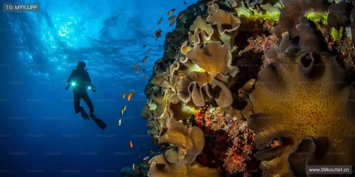 🎯周边好物，球迷必备！🎲